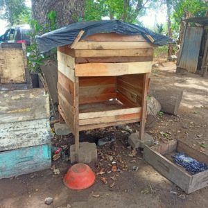 apicultura abejas