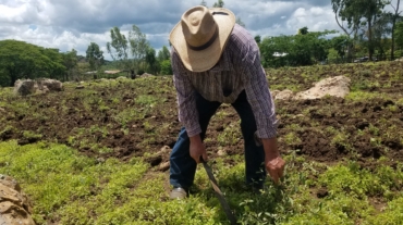 Movimiento Campesino