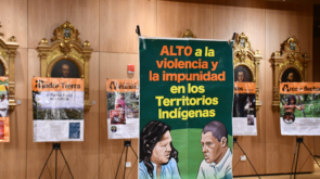 indígenas y afrodescendiente