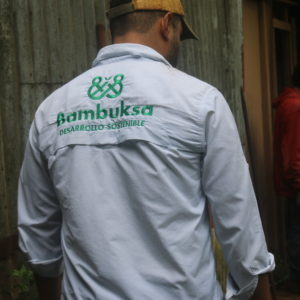 Proyecto Bambuksa