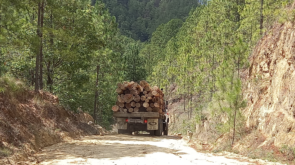 deforestación en Nicaragua