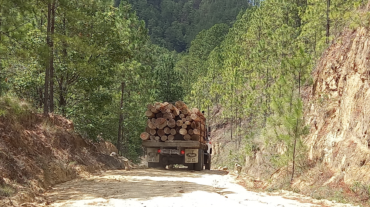 deforestación en Nicaragua