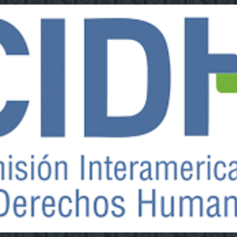 Comisión Interamericana de Derechos Humanos