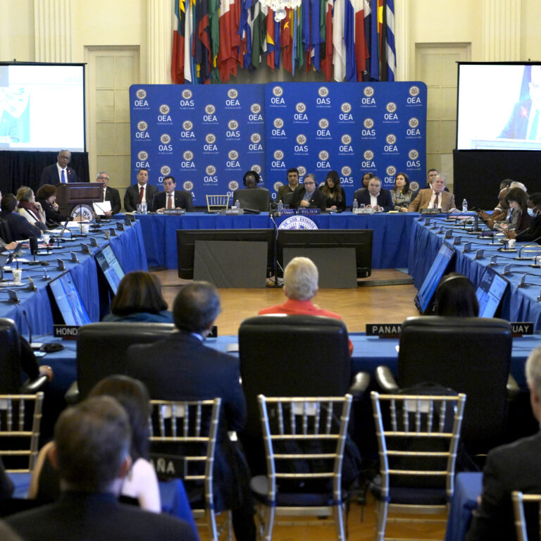 Organización de Estados Americanos OEA