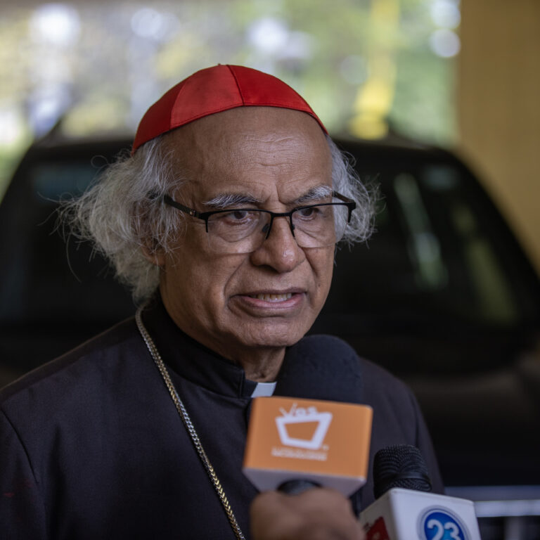 Cardenal Brenes